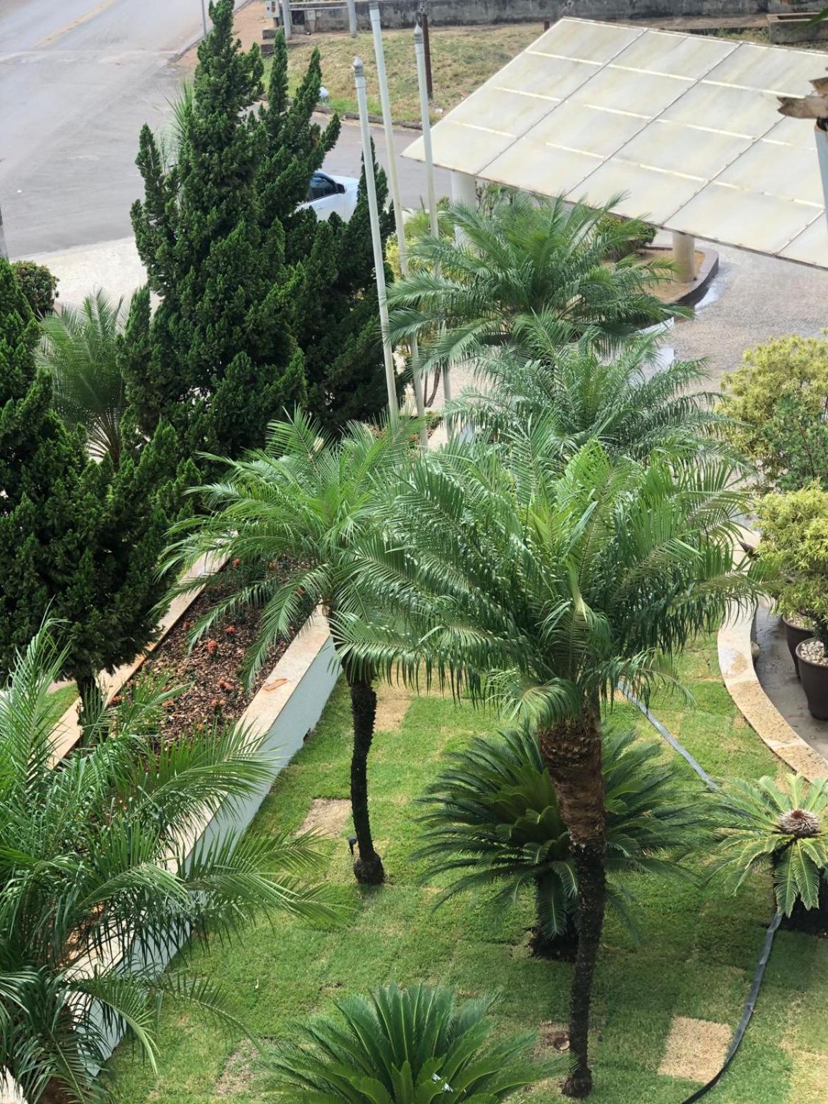 Paracatu Plaza Hotel Bagian luar foto